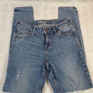 Rockstar Super Skinny Distressed